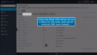 How to manage DNS zones in Plesk