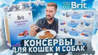 BRIT воздушный паштет для кошек и для собак | В чем их секрет?