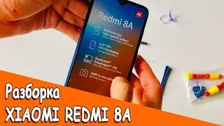 Больше не хожу в СЕРВИСНЫЙ ЦЕНТР. Разборка XIAOMI REDMI 8A