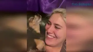 Самое позитивное видео 😊 Лучшие приколы 2020 Fun Balagan 