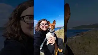 Басенджи на свободе. Кольский залив, Мурманск #собака #басенджи #свобода #мурманск #заполярье #ддт