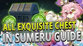 All 54 Exquisite Chest Locations in Sumeru FAST ROUTE GUIDE | Genshin Impact 3.0