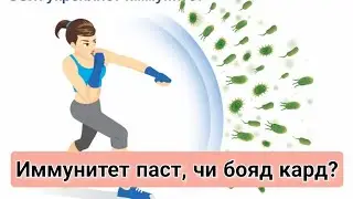 Роххои баланд кардани иммунитет.  Витаминҳои зарури