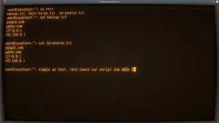 Python ASMR - Simple Backup Script with File Reading and For Loop - No Talking