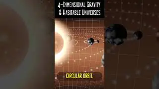 4-Dimensional Gravity & Habitable Universes