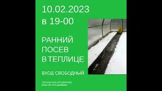 Ранний посев в теплице. Знакомство с технологией. Анна Долгих