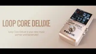 NUX FX LoopCore Deluxe review by Vinai T