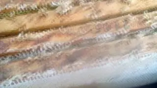 Подсадка плодной матки, на рамки с лупящим расплодом во второй корпус без пчел.