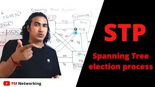 Spanning Tree Protocol (STP) Election | Root Bridge, Root Port, Designated Port, Alt Port | 