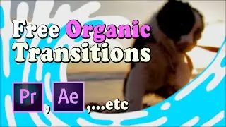 Free Organic Transitions & How to Apply them (Pack #3) After Effects, Adobe Premier...etc