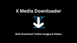 How to Bulk Download Images and Videos from X/Twitter in 2025