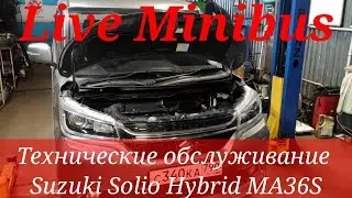 SUZUKI SOLIO HYBRID Тех.Обсл.: Замена масла в двигателе и вариаторе, замена салонного фильтра.