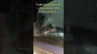 Под Новосибирском, село Ордынское -41гр, дорога домой….!