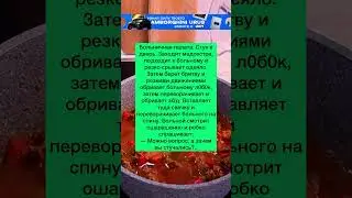 Постучалась🤣 #анекдоты #шутки #приколы #радость #юмор #смех