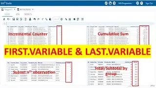 First.Variable and Last.Variable in SAS | First. and Last. Processing in PDV