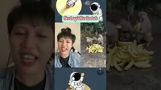 TEMENN NYA SIAPA NII??? 
