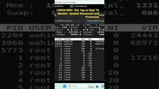 LINUX/UNIX  Use ‘top or htop’ To Monitor  System Resources and Processes #shorts