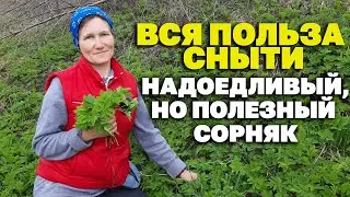 КАК БЫТЬ ЗДОРОВЫМ БЕЗ ТАБЛЕТОК ПОЛЮБИ ЦЕЛЕБНУЮ СНЫТЬ /HERBAL TREATMENT@natureMarusya