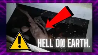 Is This A Organs Harvesting Factory !? ( ACTUAL FOOTAGE )