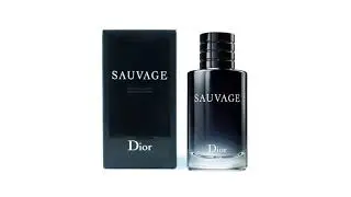 Top 5 BEST Colognes For Men of [2021] | Fragrances For Men!