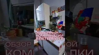 Обзор типичной коммунальной квартиры в Петербурге. Соседей не выбирают 