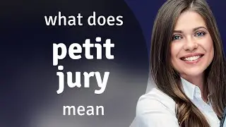 Petit jury | PETIT JURY meaning