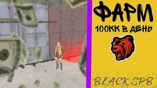 BLACK SPB ФАРМ 100КК В ДЕНЬ | КАК ЗАРАБАТЫВАТЬ НА BLACK SPB
