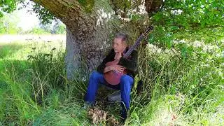 My Old Friend the Oak Tree - Luka Bloom