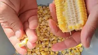 How to Quickly and Easily Remove Corn from the Cob | Simple Method