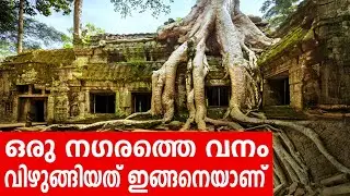 Sancharam | By Santhosh George Kulangara | Cambodia 03 | Safari TV