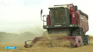 Урожай в опасности - Новосибирская область на пороге ЧС