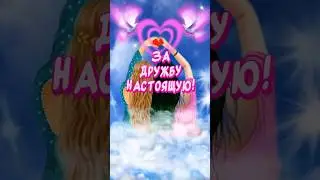 Спасибо за Дружбу!!! С Днем Друзей🎉 