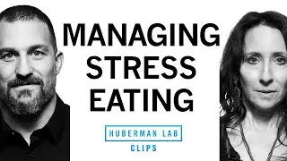 How to Manage 