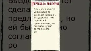 Капитанская дочка. Глава 5. Пересказ за 30 секунд. 