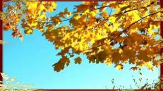 Ретро - хиты. Инструментальная музыка (плейлист)