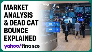 Is this market recovery a dead cat bounce ?