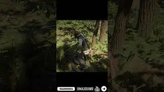 Red Dead Redemption 2 Нападение охотников за головами