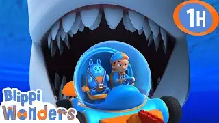 Sharks Teeth! | Blippi Wonders | Educational Videos for Kids