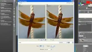 Using the High-Pass Sharpen Filter - Paint Shop Pro Photo X2 Ultimate