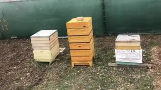 Прямо на глазах сбило крышу с улья