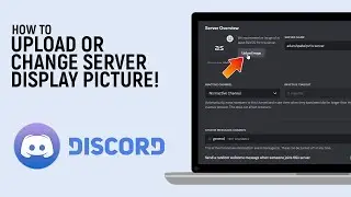 How to Upload or Change a Server Display Picture on Discord [easy]