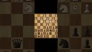 Chess gameplay #02