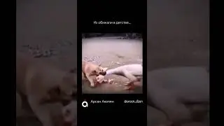 Психологические разборы  @arsen_dzen