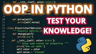 Python Object Oriented Programming (OOP) - Test YOUR Knowledge!