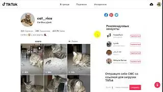 Теневой бан в TikTok  Канал после трех недель в бане