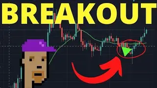 How to code a BREAKOUT trading Algo (python 2024)