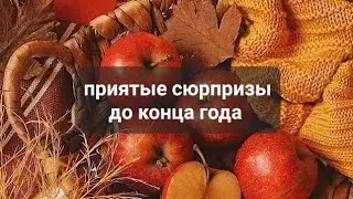 ПРИЯТНЫЕ СЮРПРИЗЫ ДО КОНЦА ГОДА 💯💯💯ТАРО, ТАРОРАСКЛАД 💥