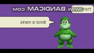 Preview 2 Bonzi is marks