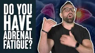 Do You Have Adrenal Fatigue? | Educational Video | Biolayne