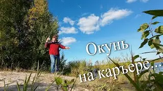 Окунь на каръере...